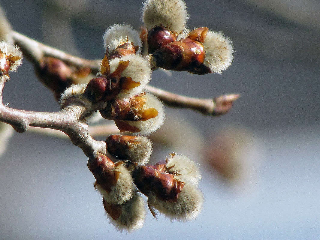 ����� ����� ���� ������ �� PhotoGeek.ru #�����