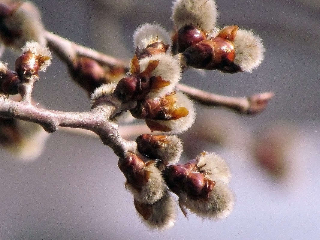 ����� ���� ����� ���� ������ �� PhotoGeek.ru #�����