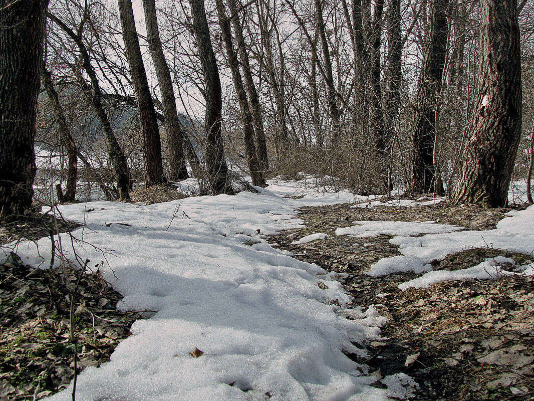 ����� ����� ���� ������ �� PhotoGeek.ru #������ ��� �������