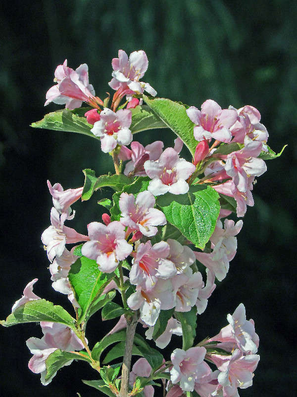 ���� ����� ���� ������ �� PhotoGeek.ru #�����