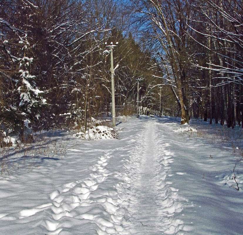 ������ ������� ����� ���� ������ �� PhotoGeek.ru #������ ��� �������