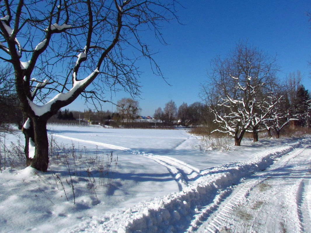 ������ ����� ���� ������ �� PhotoGeek.ru #������ ��� �������