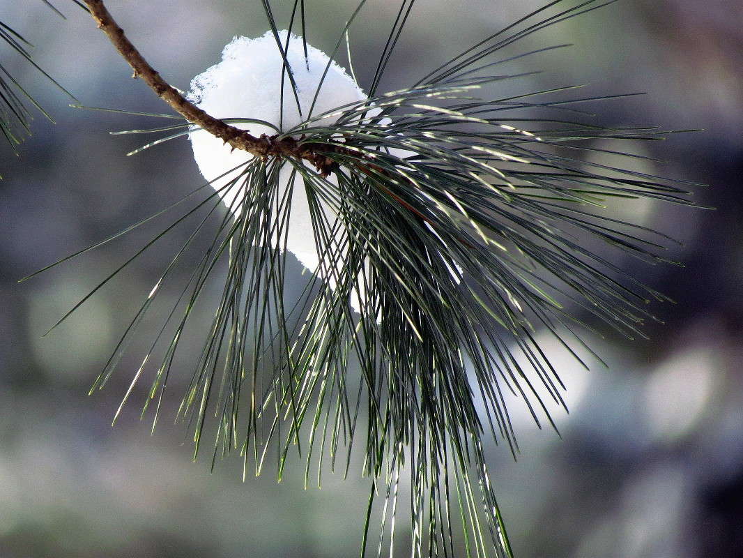 ���� ����� ���� ������ �� PhotoGeek.ru #�������� ����������