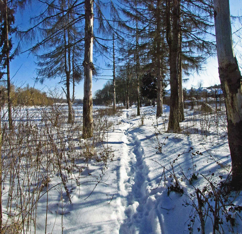 ���� ����� ���� ������ �� PhotoGeek.ru #������ ��� �������