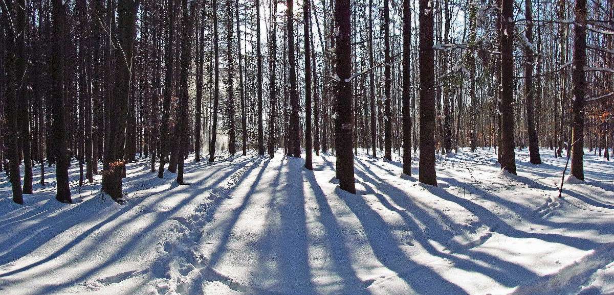 � ������ ���� ����� ���� ������ �� PhotoGeek.ru #������ ��� �������