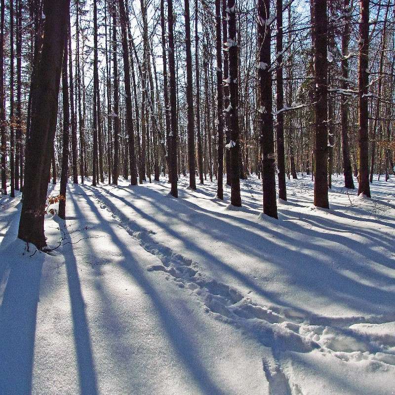 � ������ ���� ����� ���� ������ �� PhotoGeek.ru #������ ��� �������