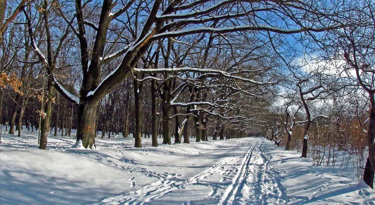 ������.����� ����� ���� ������ �� PhotoGeek.ru #������ ��� �������