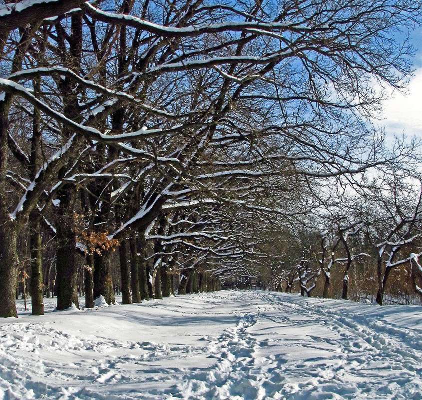 ������ ����� ���� ������ �� PhotoGeek.ru #������ ��� �������