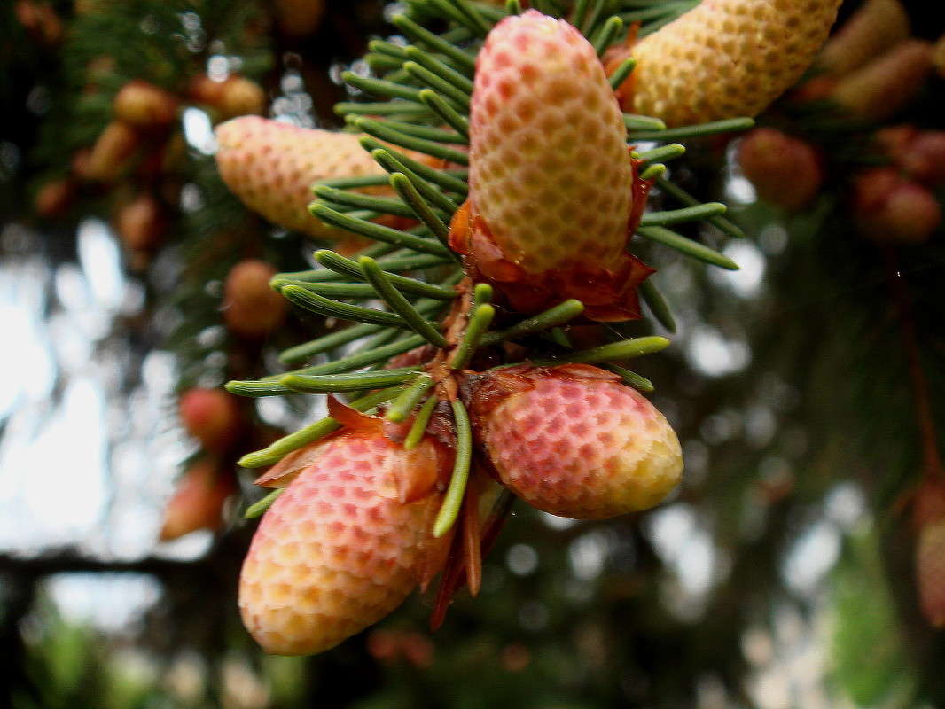 ������� ����� ����� ���� ������ �� PhotoGeek.ru #�������� ����������