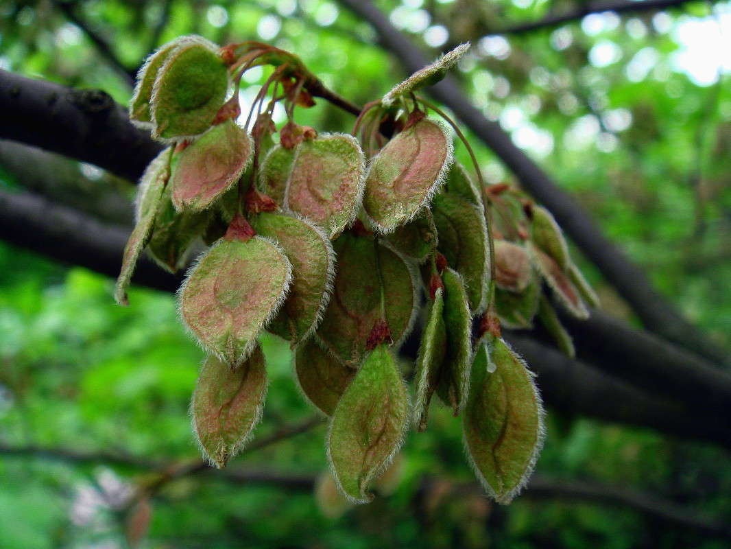 ���� ����� ����� ���� ������ �� PhotoGeek.ru #������ ��� �������