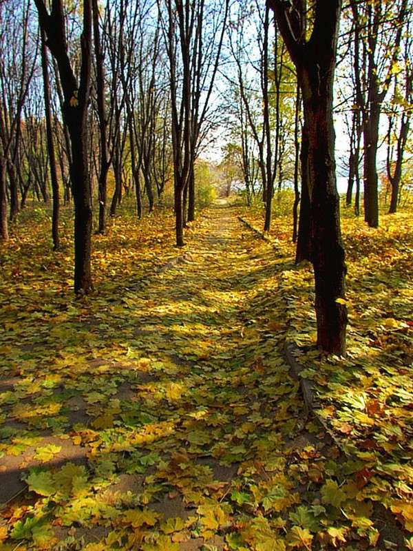 ����� ����� ���� ������ �� PhotoGeek.ru #�������� ����������