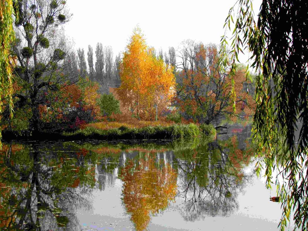 ����� ����� ���� ������ �� PhotoGeek.ru #�������� ����������