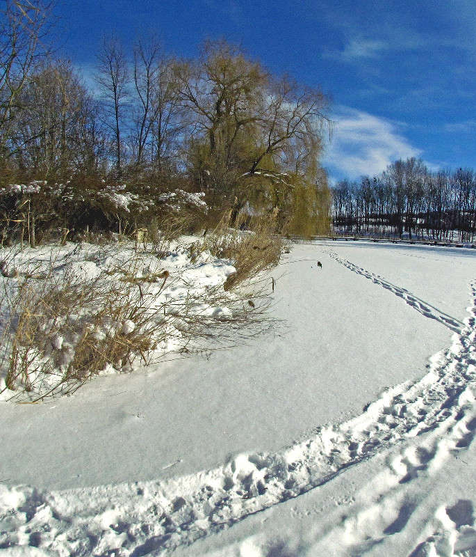 ������ ����� ���� ������ �� PhotoGeek.ru #�������� ����������