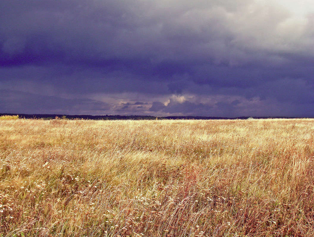 ����� ������� ����� ���� ������ �� PhotoGeek.ru #������ ��� �������