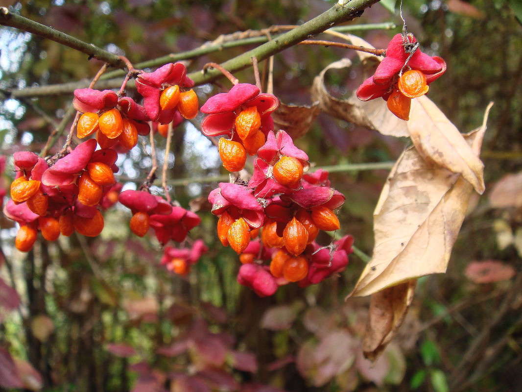 ����� ����� ����� ���� ������ �� PhotoGeek.ru #�������� ����������