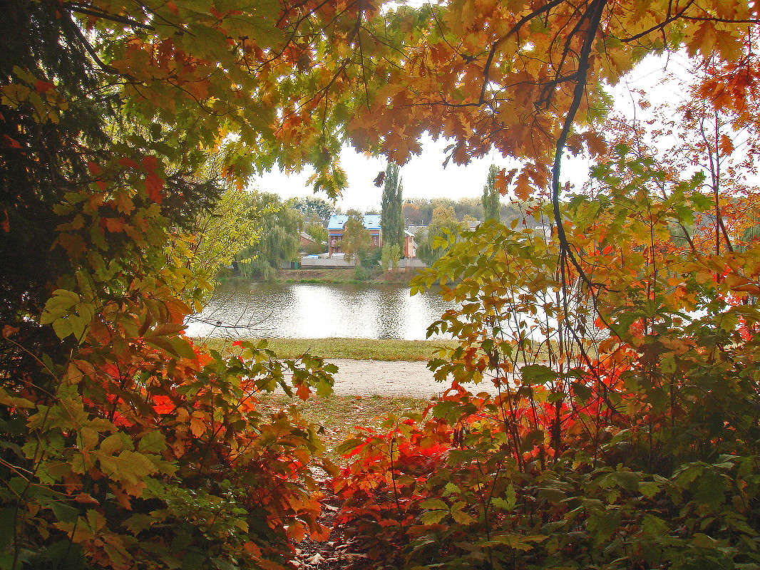 ����� ����� ���� ������ �� PhotoGeek.ru #�������� ����������