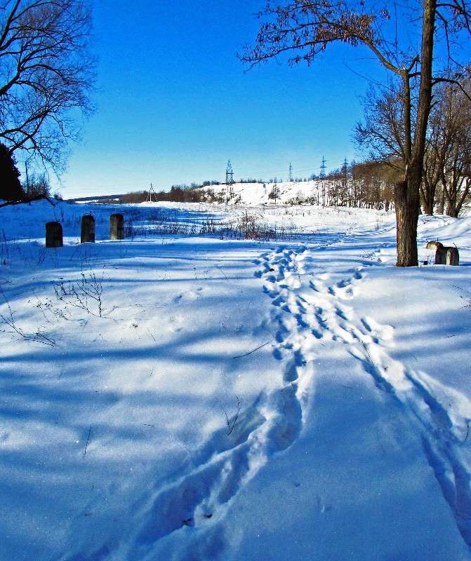 ������ ������ ����� ���� ������ �� PhotoGeek.ru #������ ��� �������