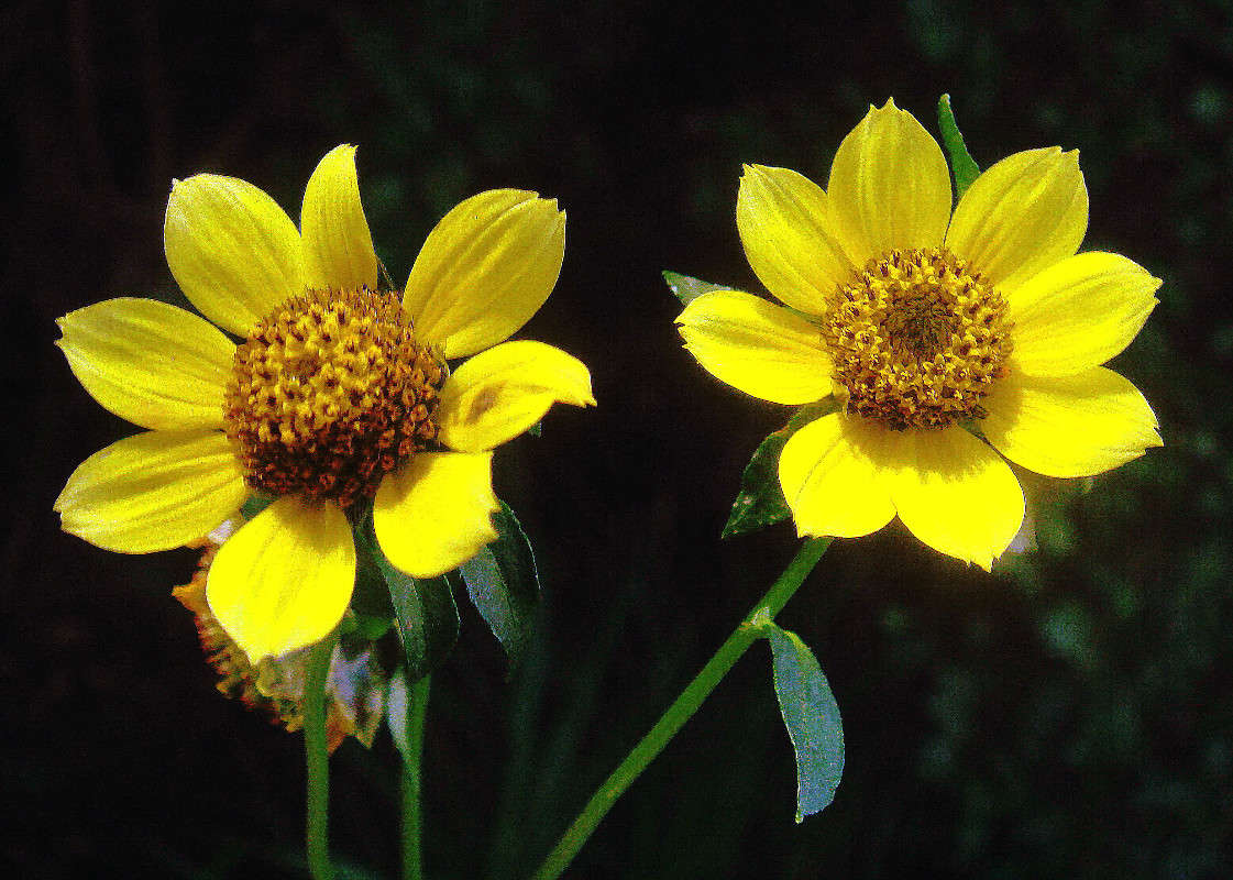 ���������� ����� ���� ������ �� PhotoGeek.ru #������ ��� �������