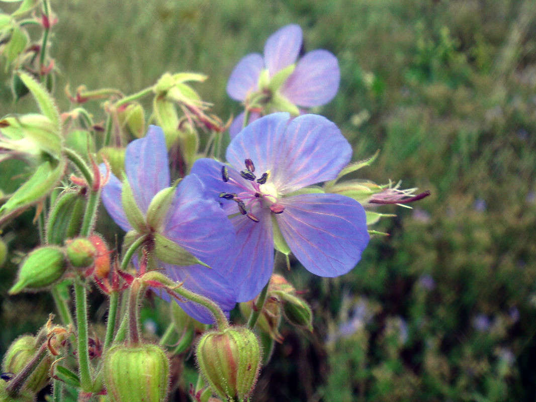 ����� ����� ���� ������ �� PhotoGeek.ru #�����