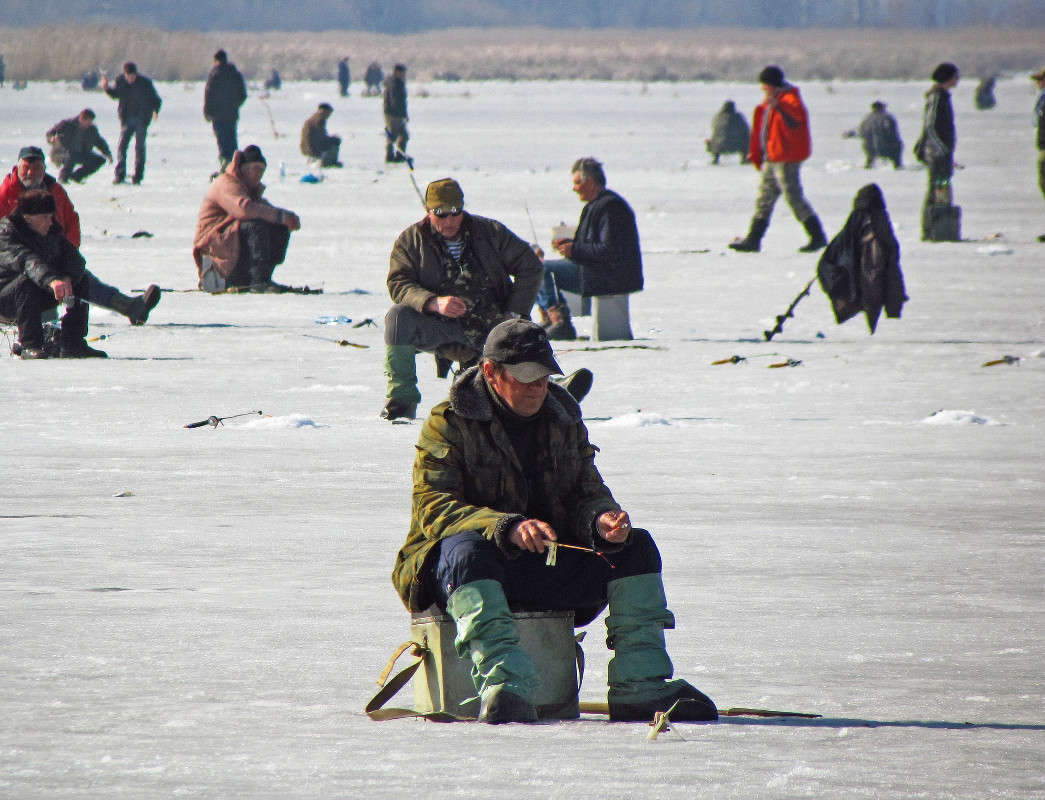 �������� ���� ����� ���� ������ �� PhotoGeek.ru #�������� ����������