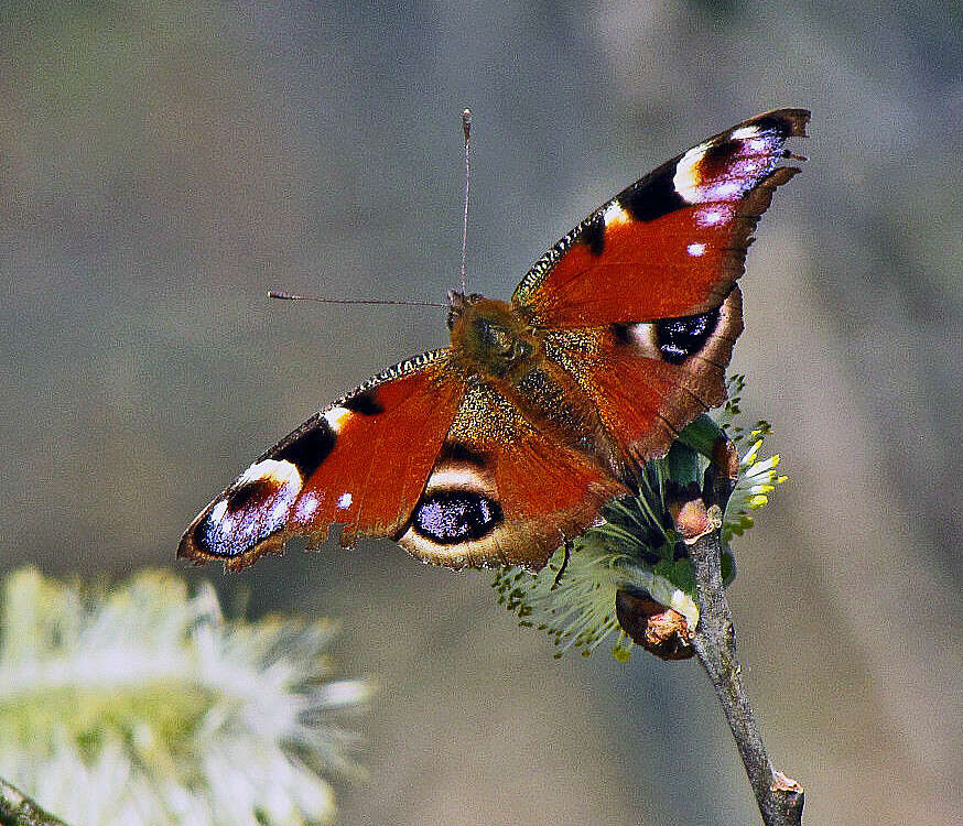 ����� ����� ���� ������ �� PhotoGeek.ru #�������� ����������