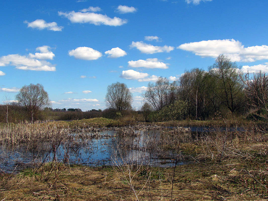 ����� ����� ���� ������ �� PhotoGeek.ru #������ ��� �������