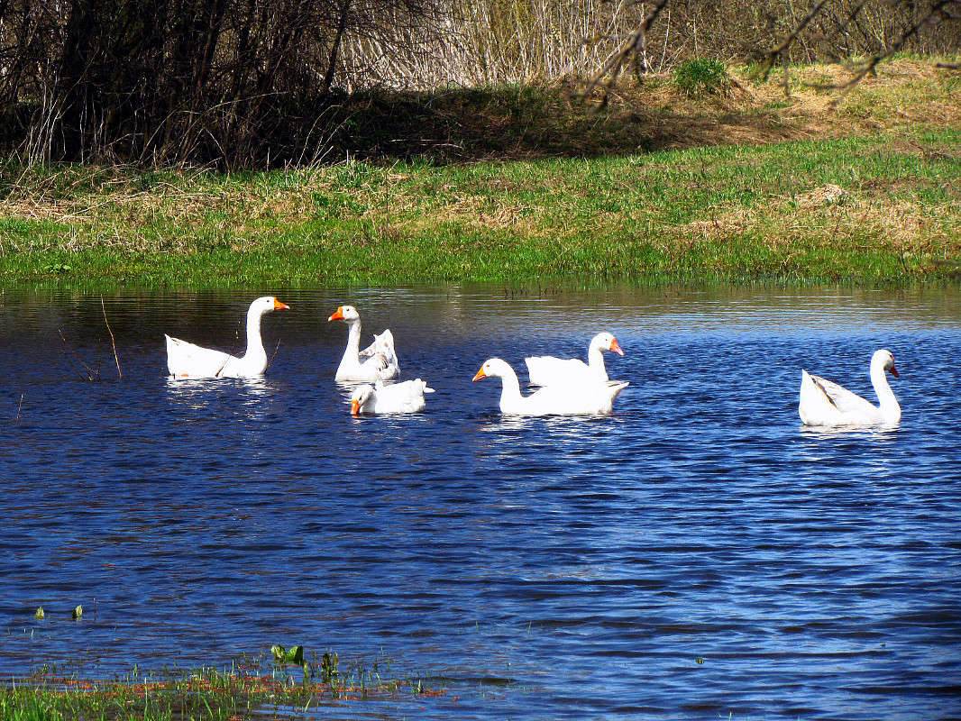 ���� ����� ���� ������ �� PhotoGeek.ru #�������� ����������