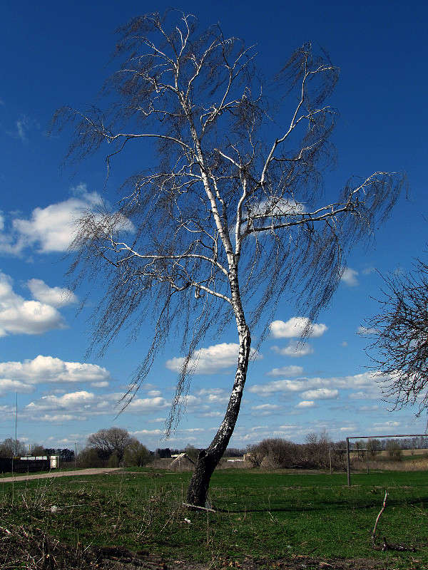 �� �������� ����� ���� ������ �� PhotoGeek.ru #������ ��� �������