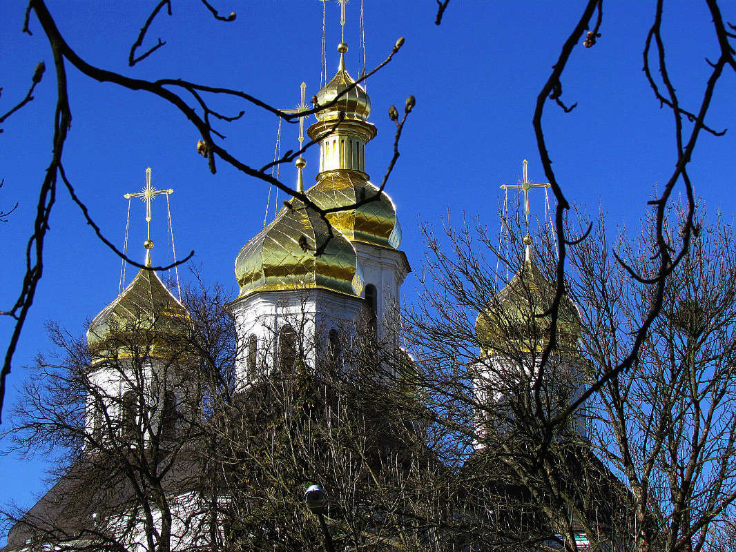 ������ ����� ���� ������ �� PhotoGeek.ru #�������� ����������