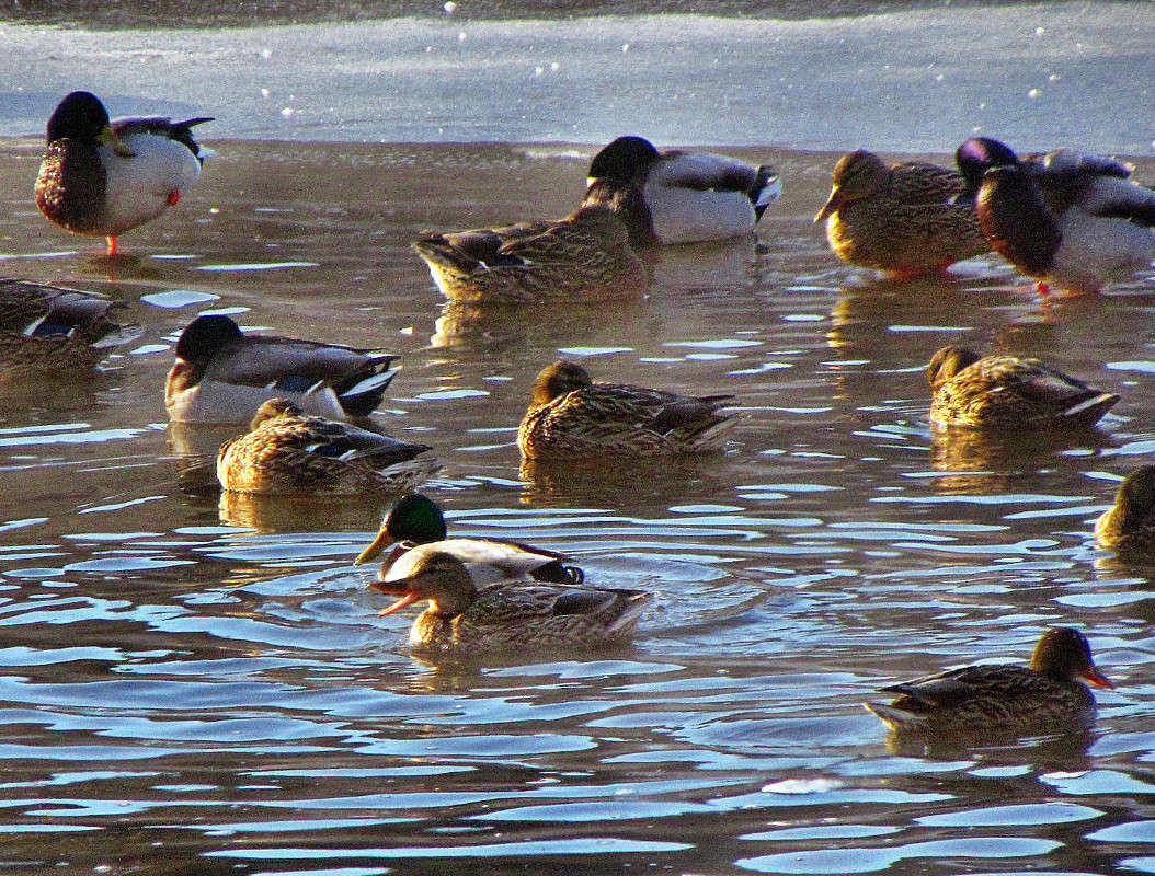 ���� �� ������� ����� ���� ������ �� PhotoGeek.ru #�������� ����������