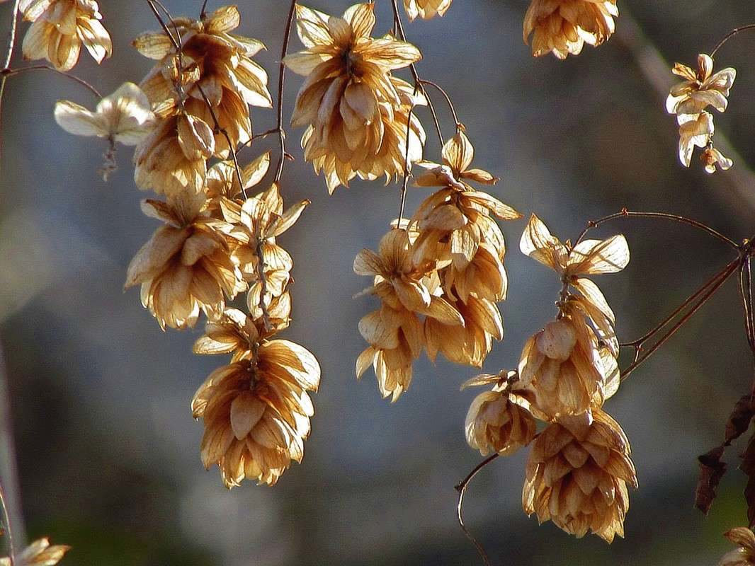 ����� ����� ���� ������ �� PhotoGeek.ru #�����