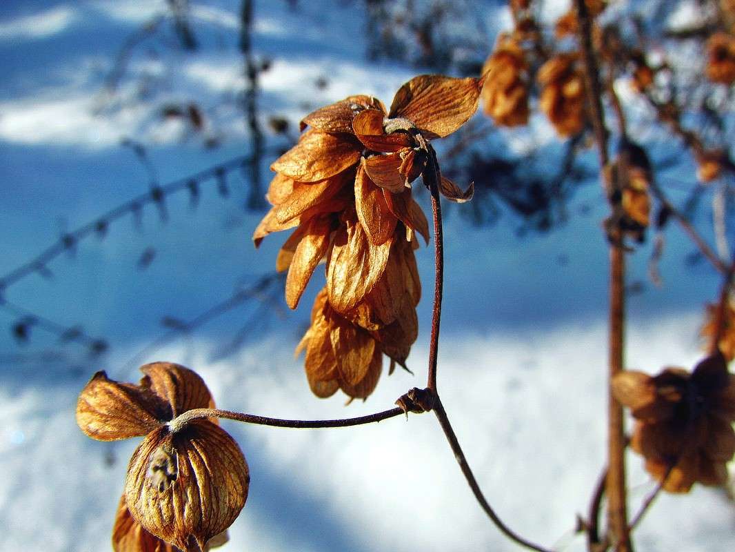 ����� ����� ����� ���� ������ �� PhotoGeek.ru #������ ��� �������