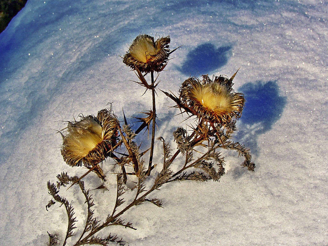 ����� �� ����� ����� ���� ������ �� PhotoGeek.ru #�������� ����������