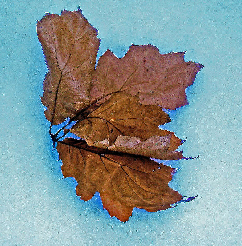 ������ �� ����� ����� ���� ������ �� PhotoGeek.ru #�������� ����������