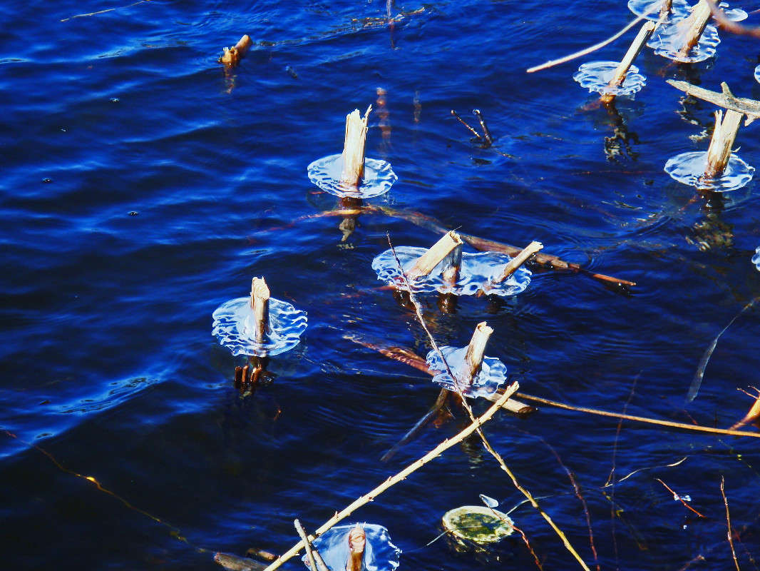 ����������� ����� ����� ���� ������ �� PhotoGeek.ru #������ ��� ������� #���� #�������