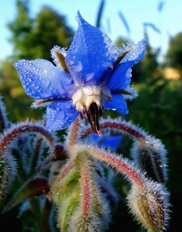 ����� ������������ ����� ���� ������ �� PhotoGeek.ru #�������� ����������