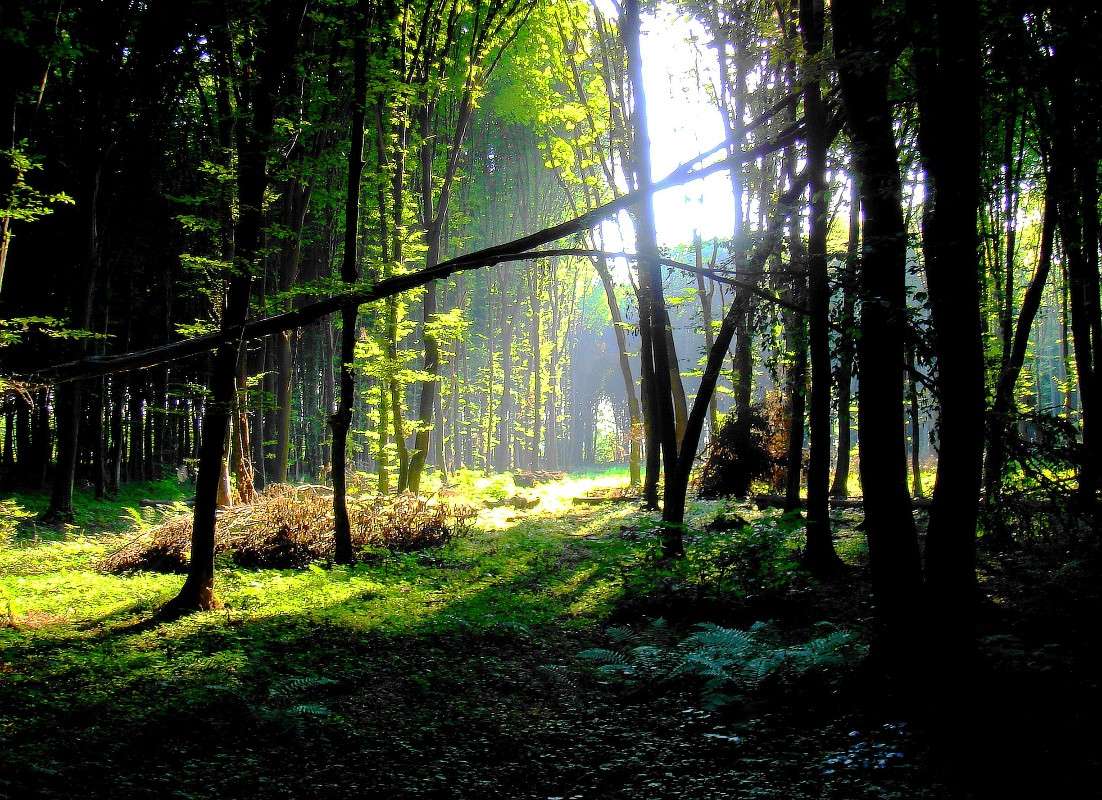 ��� ����� � ������ ������� ����� ���� ������ �� PhotoGeek.ru #�������� ����������