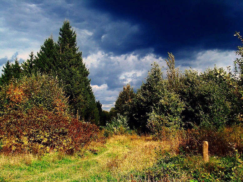 ����� ������ ����� ���� ������ �� PhotoGeek.ru #������ ��� �������