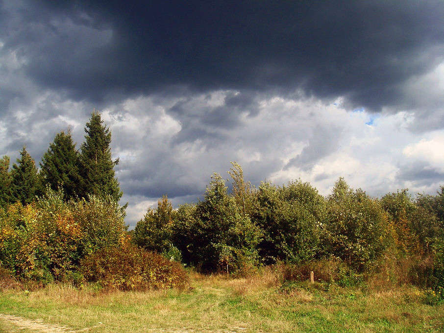 ����� ������ ����� ���� ������ �� PhotoGeek.ru #������ ��� �������