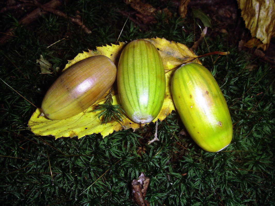 ������ ����� ���� ������ �� PhotoGeek.ru #�������� ����������