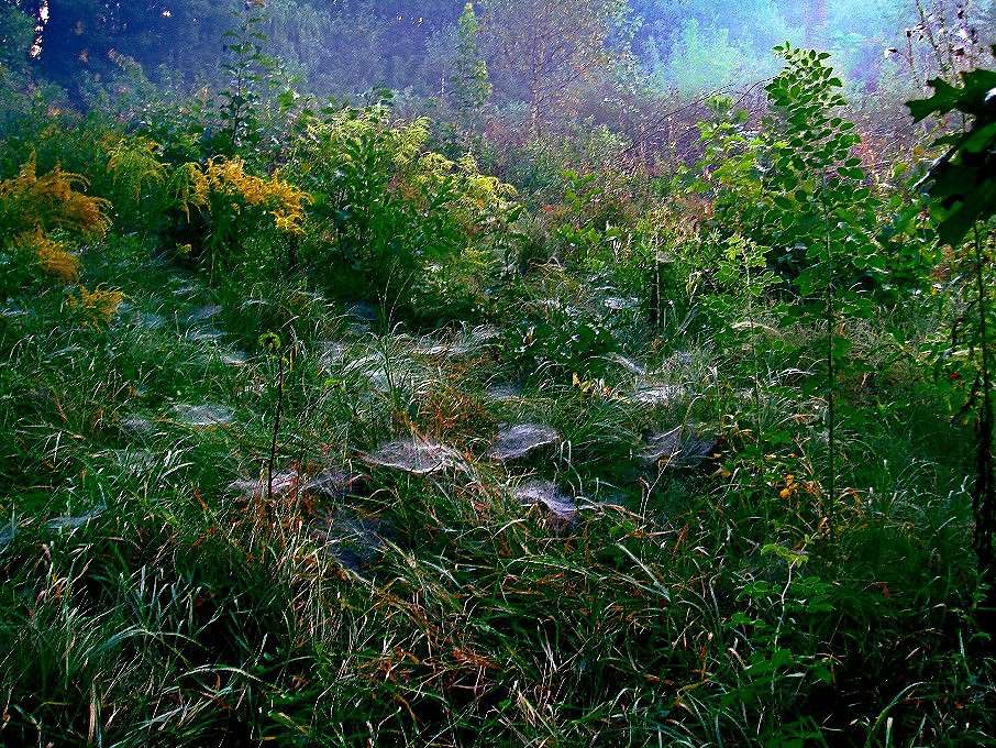 ������� ����� ����� ���� ������ �� PhotoGeek.ru #������ ��� �������