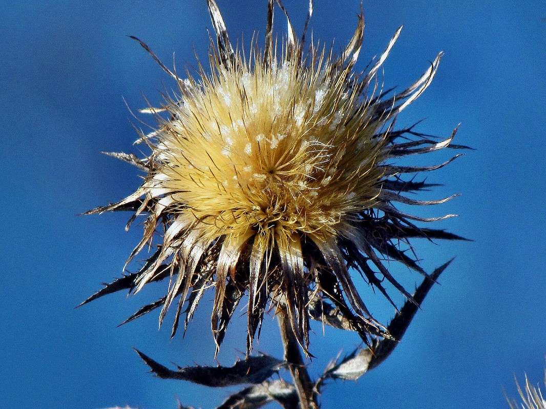 ������ ���� ����� ���� ������ �� PhotoGeek.ru #������ ��� �������