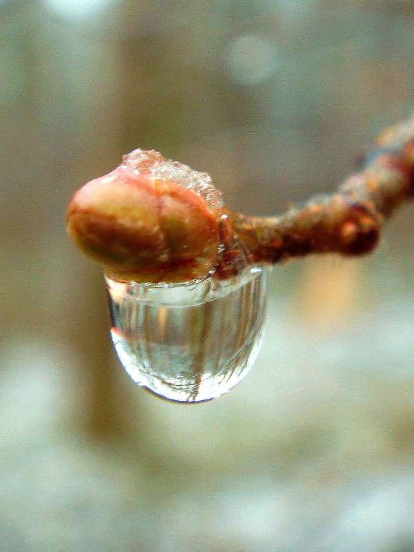 �������� ���� ����� ���� ������ �� PhotoGeek.ru #�����