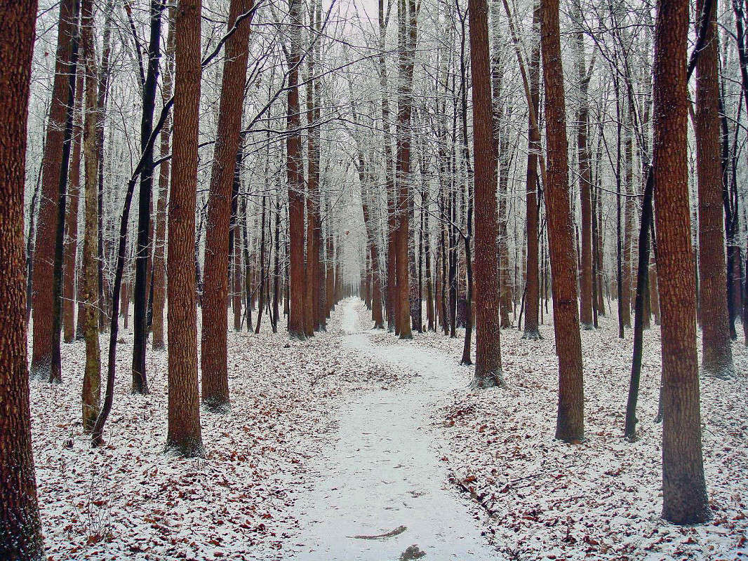 ���� ����� ���� ������ �� PhotoGeek.ru #������ ��� �������