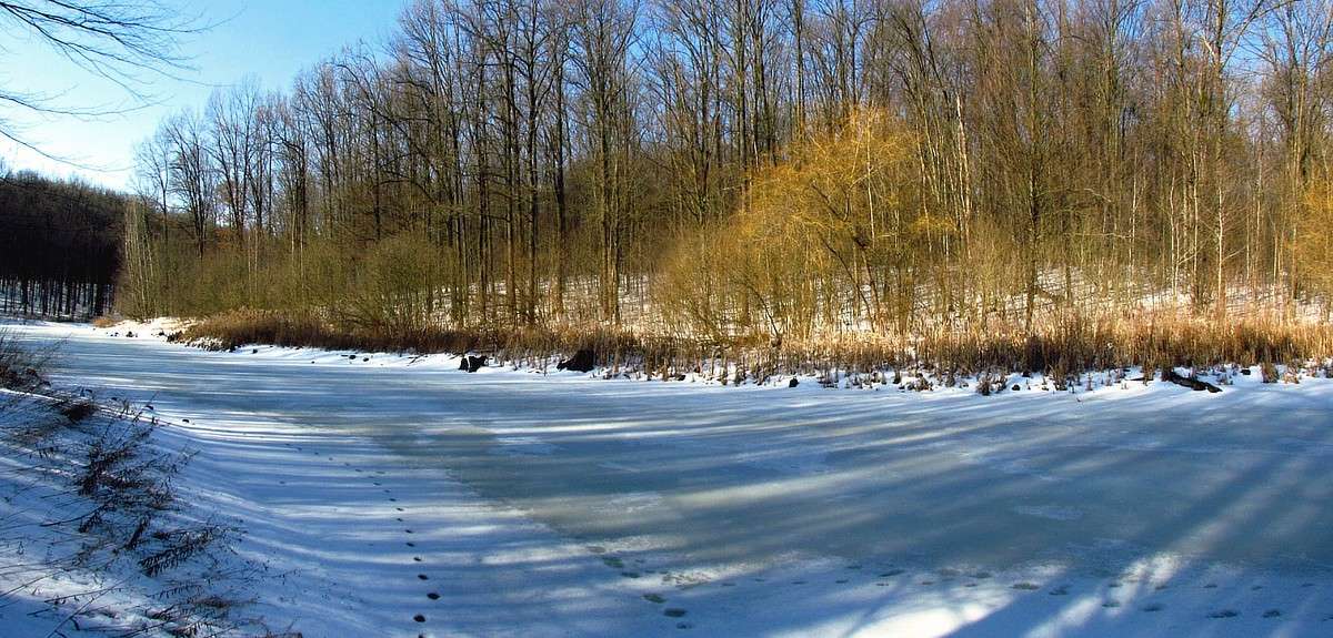 ��������� ����� ����� ���� ������ �� PhotoGeek.ru #������ ��� �������