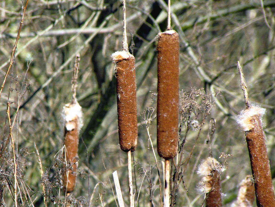 ����� ����� ���� ������ �� PhotoGeek.ru #�������� ����������