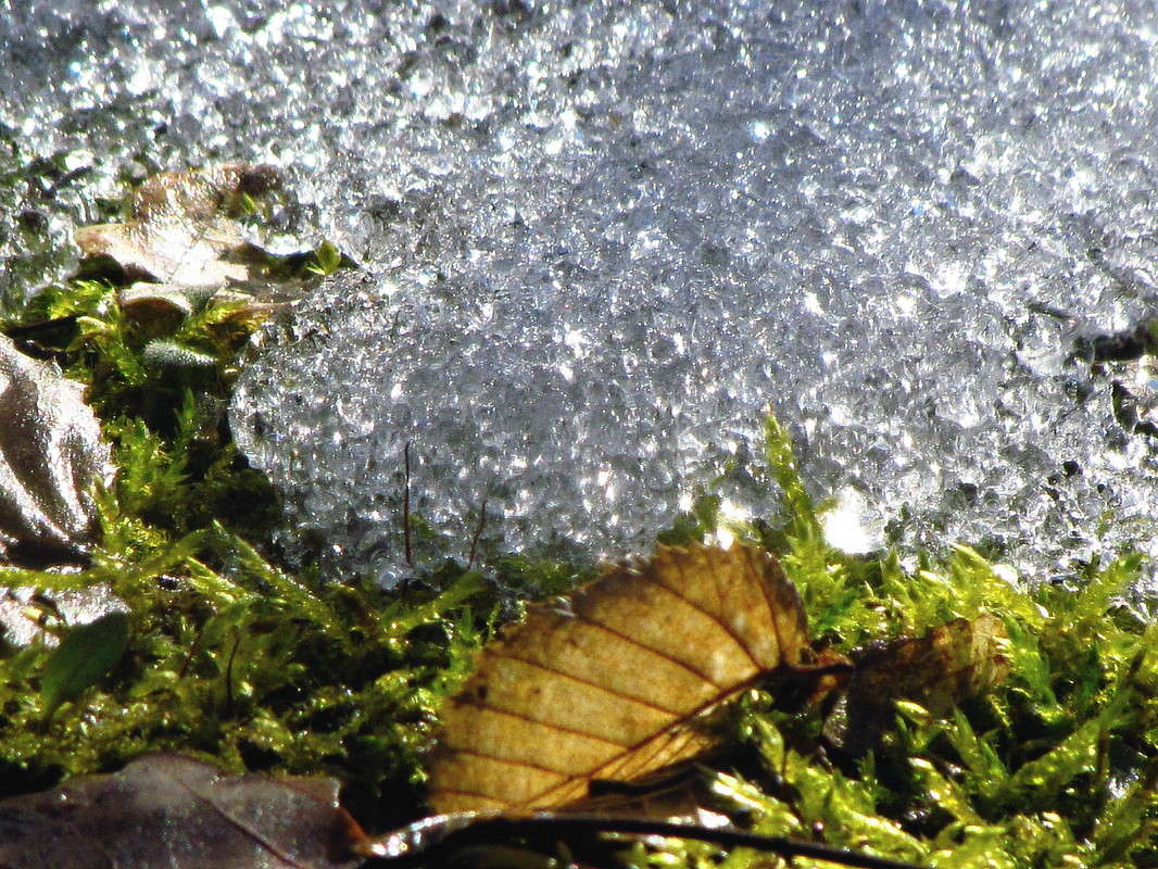 ����� ����� ����� ���� ������ �� PhotoGeek.ru #�������� ����������