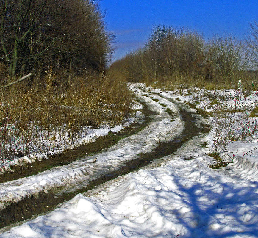 ������ ������ ����� ���� ������ �� PhotoGeek.ru #������ ��� �������