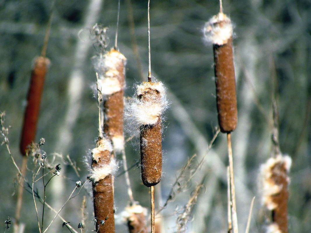 ����� ����� ���� ������ �� PhotoGeek.ru #�����