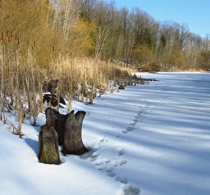 ������ ����� ���� ������ �� PhotoGeek.ru #������ ��� �������